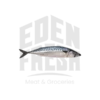 Whole Mackerel Fish